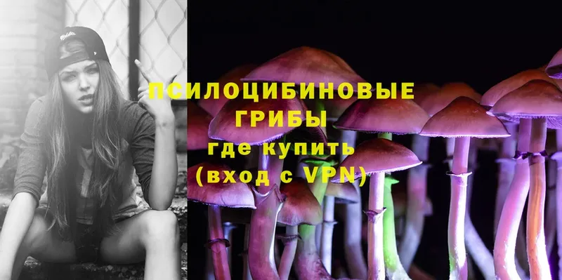 что такое   Электрогорск  Псилоцибиновые грибы Psilocybe 